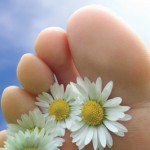 Portland Maine Reflexologist Lynn Marie Danforth